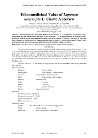 Ethnomedicinal Value of Laportea Interrupta L. Chew