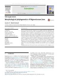 Morphological Phylogenetics of Bignoniaceae Juss