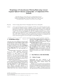 Morphology of Trabeculectomy Filtering Blebs Using Anterior Segment Optical Coherence Tomography: a Comparison of Two Methods