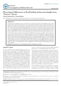 Photochemical Efficiencies in Reef-Dwelling Anthozoans