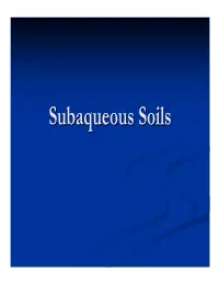 Subaqueous Soilssoils Georgegeorge P.P