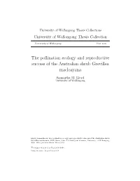The Pollination Ecology and Reproductive Success of the Australian Shrub Grevillea Macleayana