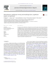 Did Prehistoric and Roman Mining and Metallurgy Have a Significant