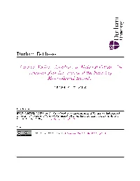 Adverse Weather Conditions in Medieval Britain: an Archaeological Assessment of the Impact of Meteorological Hazards