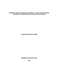 Morphological and Genetic Variability of Malaysian Channa Spp Based on Morphometric and Rapd Techniques