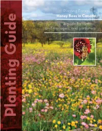 Planting Forage for Honey Bees in Canada a Guide for Farmers, Land