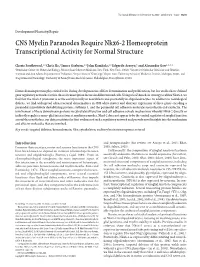 CNS Myelin Paranodes Require Nkx6-2 Homeoprotein Transcriptional Activity for Normal Structure