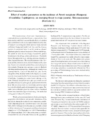 Crambidae: Lepidoptera); an Emerging Threat to Crape Jasmine, Tabernaemontana Divaricata (L.)