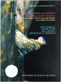 Download Book (PDF)