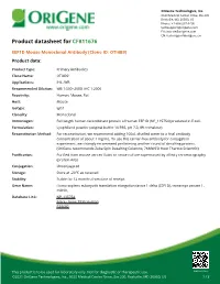 EEF1D Mouse Monoclonal Antibody [Clone ID: OTI4B9] Product Data