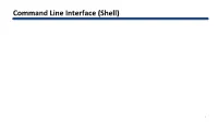 Command Line Interface (Shell)