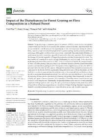 Impact of the Disturbances for Forest Grazing on Flora Composition in a Natural Forest