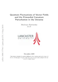 Quantum Fluctuations of Vector Fields and the Primordial Curvature Perturbation in the Universe