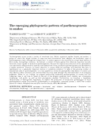 The Emerging Phylogenetic Pattern of Parthenogenesis in Snakes