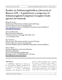 Studies on Schismatoglottideae (Araceae) of Borneo LIX – a Preliminary Conspectus of Schismatoglottis Calyptrata Complex Clade Species for Sarawak