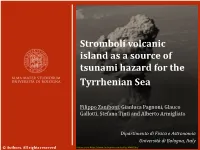 Tide Gauges Close to the Source Reported a the Tsunami Caused Maximum 1 M Peak-To-Peak Water Oscillation