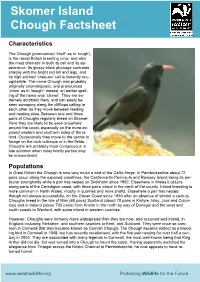 Chough Factsheet
