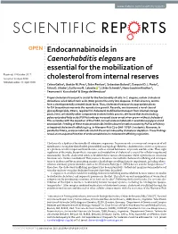 Endocannabinoids in Caenorhabditis Elegans Are Essential for the Mobilization of Cholesterol from Internal Reserves