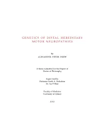 Genetics of Distal Hereditary Motor Neuropathies