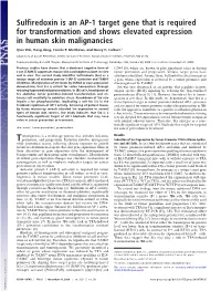 Sulfiredoxin Is an AP-1 Target Gene That Is Required for Transformation and Shows Elevated Expression in Human Skin Malignancies