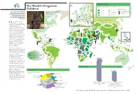 Child Mortality Rate