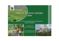 The Annual Report