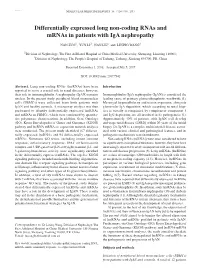 Differentially Expressed Long Non‑Coding Rnas and Mrnas in Patients with Iga Nephropathy