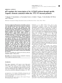 P53 Regulates the Transcription of Its &Delta