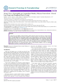 Sciatic Nerve Neuropathy in Cynomolgus Monkey Macaca