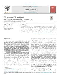 The Geometry of RN-Ads Fluids