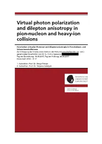 Virtual Photon Polarization and Dilepton Anisotropy in Pion-Nucleon and Heavy-Ion Collisions