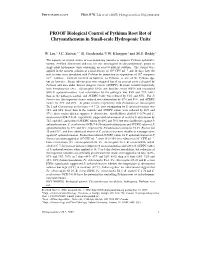 PROOF Biological Control of Pythium Root Rot of Chrysanthemum in Small-Scale Hydroponic Units