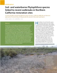 Soil- and Waterborne Phytophthora Species Linked to Recent