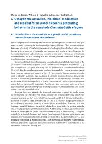 6 Optogenetic Actuation, Inhibition, Modulation and Readout for Neuronal Networks Generating Behavior in the Nematode Caenorhabditis Elegans