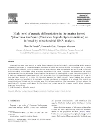 High Level of Genetic Differentiation in the Marine Isopod Sphaeroma Terebrans (Crustacea Isopoda Sphaeromatidae) As Inferred by Mitochondrial DNA Analysis