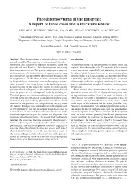 Pheochromocytoma of the Pancreas: a Report of Three Cases and a Literature Review