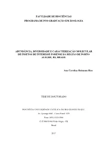 000485228-Texto+Completo-0.Pdf
