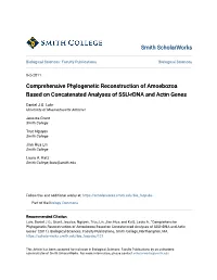 Comprehensive Phylogenetic Reconstruction of Amoebozoa Based on Concatenated Analyses of SSU-Rdna and Actin Genes