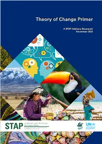 Theory of Change Primer