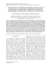 Aspidoscelis Laredoensis B) and Both Gonochoristic Progenitors (A