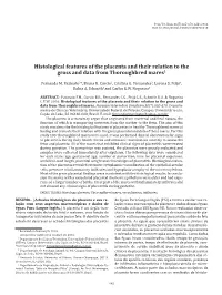 Histological Features of the Placenta and Their Relation to the Gross and Data from Thoroughbred Mares1