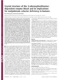 Dependent Enzyme Moaa and Its Implications for Molybdenum Cofactor Deficiency in Humans