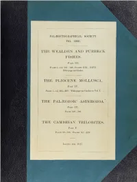A Monograph of the British Palaeozoic Asterozoa