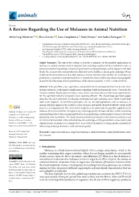A Review Regarding the Use of Molasses in Animal Nutrition