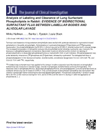 Analysis of Labeling and Clearance of Lung Surfactant Phospholipids in Rabbit: EVIDENCE of BIDIRECTIONAL SURFACTANT FLUX BETWEEN LAMELLAR BODIES and ALVEOLAR LAVAGE