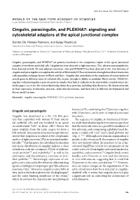 Cingulin, Paracingulin, and PLEKHA7: Signaling and Cytoskeletal Adaptors at the Apical Junctional Complex