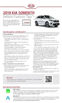 2019 Sorento Vehicle Feature Tips