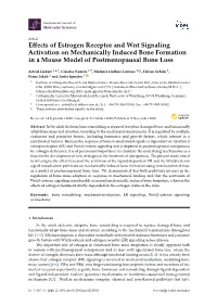 Effects of Estrogen Receptor and Wnt Signaling Activation On