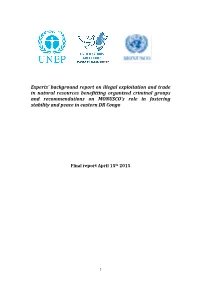 Experts' Background Report on Illegal Exploitation and Trade in Natural