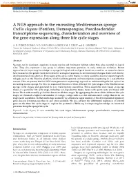 Transcriptome Sequencing, Characterization and Overview of the Gene Expression Along Three Life Cycle Stages